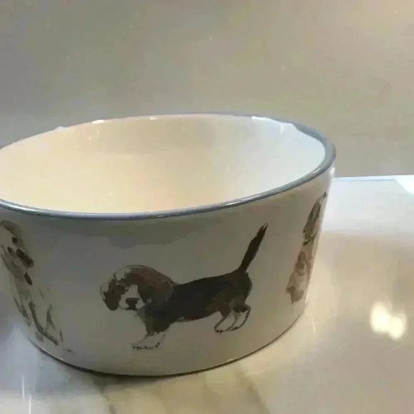 2‎ dog bowls L/M Ceramic dog Bowl Labrador Feed Me plus cat dish eat sleep New - Picture 6 of 9
